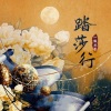 一颗狼星、国风集 - 踏莎行