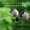Sonidos Naturales del Pajaro、Meditaciones Espirituales、Dormir Mucho - Suave Relajación De La Mente