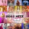DJ Notorious、Dhvani Bhanushali、Yash Narvekar、mellow d、Lijo George、Vishal Dadlani、Saaj Bhatt、Javed Ali、nakash aziz、Neeti Mohan、Keshav Anand、QARAN、Asees Kaur - 2022 HITZ Mashup