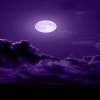 Lunar Shadow、Thomas Jones - Lunar Shadows (feat. Lunar Shadow)