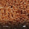 Auriga (SP) - A Night at La Real (Original Mix)