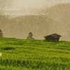Relaxing Spa Music、Dog Sleep Academy、Aquagirl - Rain and Water Sounds