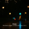 Sleepy Pets、Songs for Dogs to Sleep To、Kevin Sleepsounds - RainForest paradise