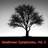 NBC Symphony Orchestra、Arturo Toscanini - I. Allegro con brio