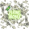 electro - Flying Money