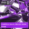 D'Amico & Valax、Melody Mane - Shine