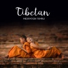 Tibetan Meditation Academy《Tibetan Monks Meditation》[MP3/LRC]