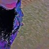 Guelo Star - motion (Explicit)