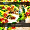 Rony Calderon、Airbas - Birds Calling (Airbas Remix)