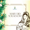 Re.birth - Mary Did You Know