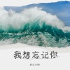 兵心1981 - 我想忘记你