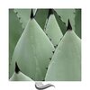Ambient Nature White Noise - Shush Nighttime