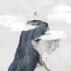 石白其 - 灰