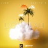 Benito.B、Lion - Lionceau