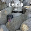 孟杨 - 新上海滩