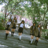 啵啵牌啵菜、豆豆、斯亦、柯奇 - Ditto