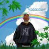 Bismark - Understand