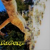 Baban World - Dreams