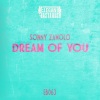 Sonny Zamolo《Dream Of You》[MP3/LRC]