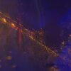 slimReapa、Vin Vega - Are we good (feat. slimReapa|Explicit)