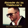 Blondu de la Timisoara《Ochilor mei》[MP3/LRC]