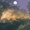Holdfényes dallamok、Összpontosítást segítő zene tanuláshoz - Nyugalom (New Age)