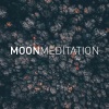 เสียงจันทร์、เพลงผ่อนคลาย - เพลงนอนหลับสำหรับแมว (นิวเอจ)