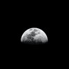 David Payne - Lunar Waves