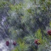 White Noise Therapy、White Noise Meditation、Water Sounds Natural White Noise - Sound of Noisy Rain