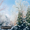 Michelle Ray、FOUND.、Guitar Mage - Here Comes Santa Claus (Acoustic)