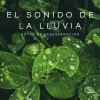 Yoga & Meditación、Música para Meditar y Relajarse、Agua del Mar - Meditación Bajo La Lluvia