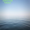 Bedroom Affairs、Kosta Rodriguez、Freemanto - Ambient Rain Talisman (Original Mix)