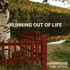 HAWKRIDGE、Annah - Running Out Of Life (feat. AnnaH)(Radio Edit)