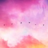 Azido 88、Tanshuai - Lilac Sky