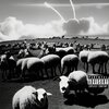 Mike Summers、Jon Connor、Michael Summers、Jon Kevin Freeman Jr - INFLAMMATION (Explicit)