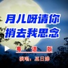 巫日娣 - 月儿呀请你捎去我思念