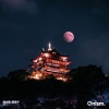 珞三、Onism. - 眺剑眉·望萧月