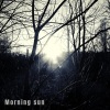 Jens Larsson《Morning Sun》[MP3/LRC]