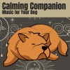 Dog Music、Music for Dog's Ears、Dog Sleep Academy《Calming Companion Music for Your Dog, Pt. 1》[MP3/LRC]