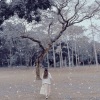 付银香 - 孤单心事