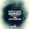 Garillo Dansek - Quarknosis