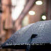Soul Healer、Relaxing Piano Jazz、Calm Dog Music - Washed from the Skies