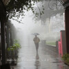 Recorder Rain、Relaxing Musk Ox、Relaxation Channel - Triumph Rain
