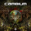 Cambium《Artemisia Mutellina》[MP3/LRC]