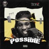 Tidinz《POSSIBLE (Freestyle)》[MP3/LRC]