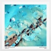 Bachir Salloum、Zone+ - Odin