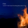 Music for Leaving Dogs Home Alone、Relaxing Dog Music、Nature Ambience - Sound of Fire in the Woods