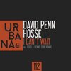 david penn、Hosse - I Can't Wait