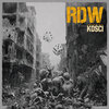 RDW - Input (Explicit)