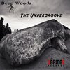 Deep Woods - The Undergroove (KOS41 Dub)